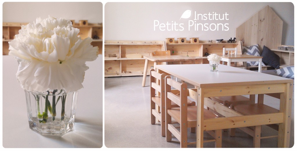 Ambiance-Institut-Pinsons